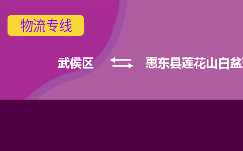 武侯区到惠东县莲花山白盆珠保护区物流专线_武侯区到惠东县莲花山白盆珠保护区货运专线公司